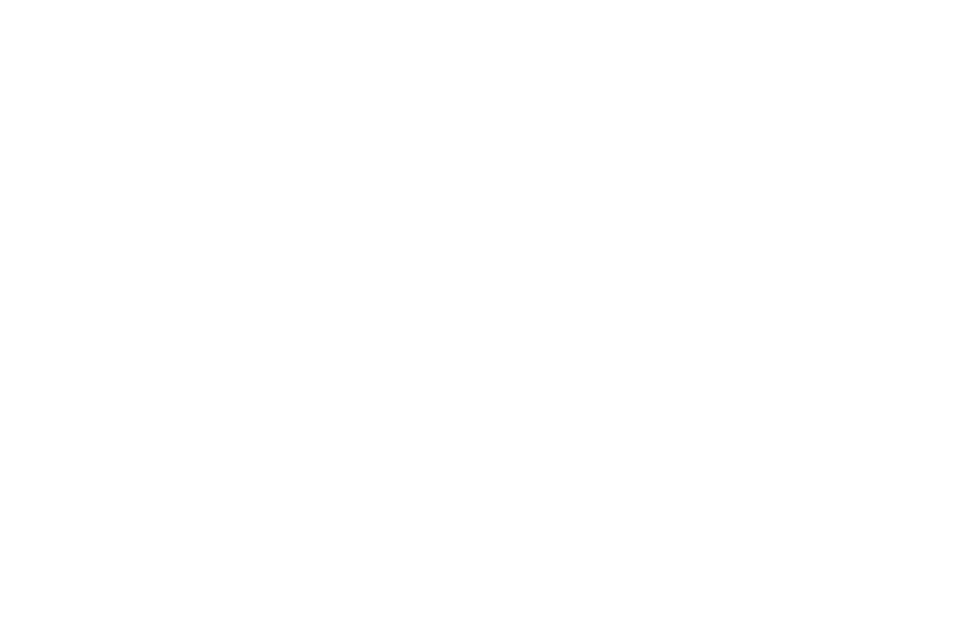 Amrein Partner